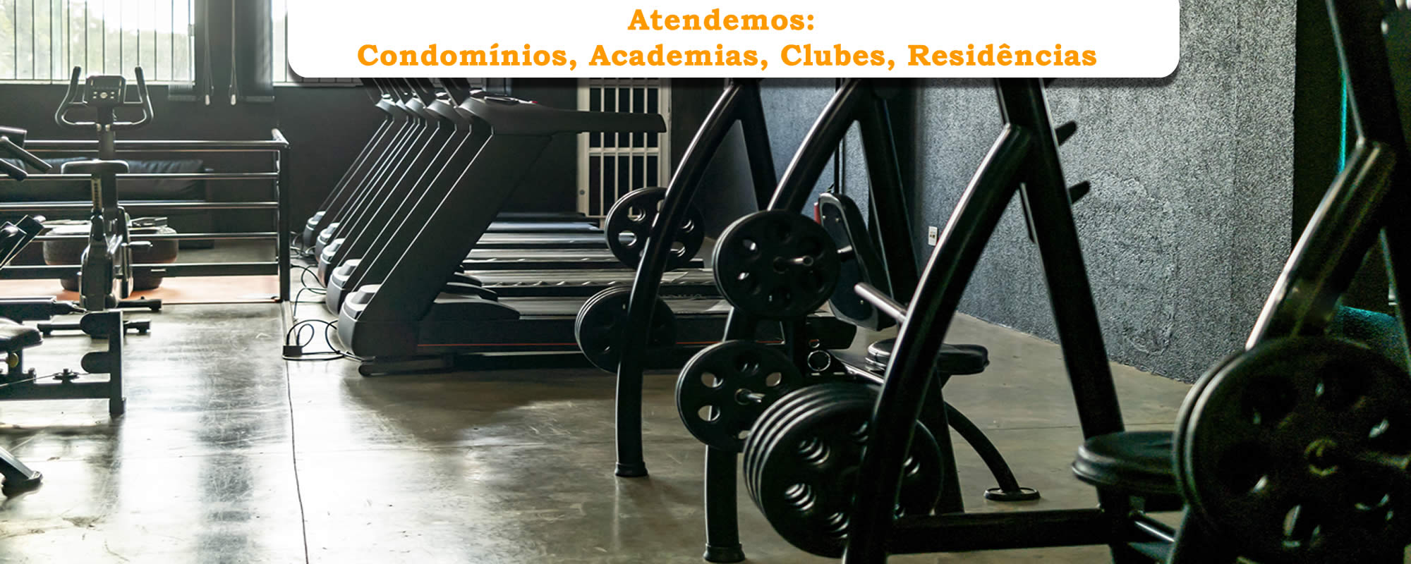 esteiras ergometricas consertar na zona sul